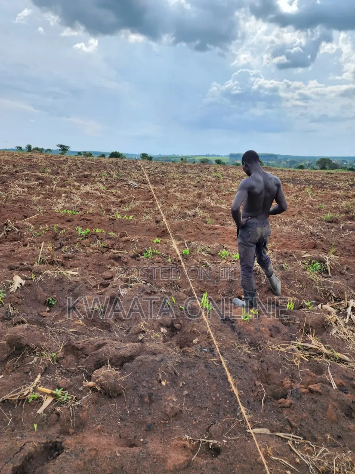 Farm Establishment and Management Consultancy