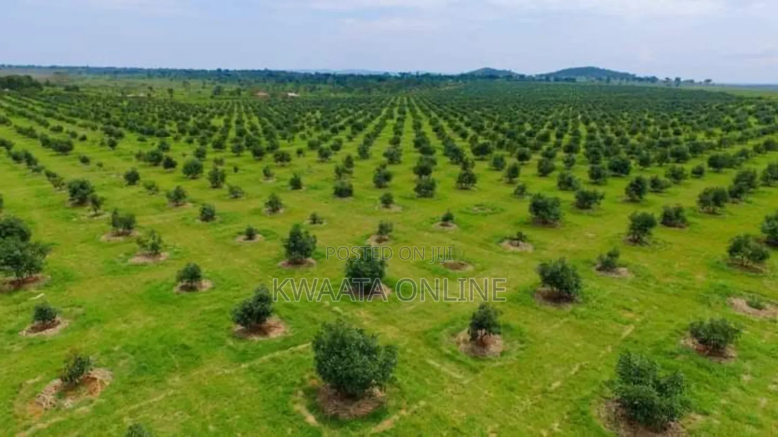 Farm Establishment and Management Consultancy