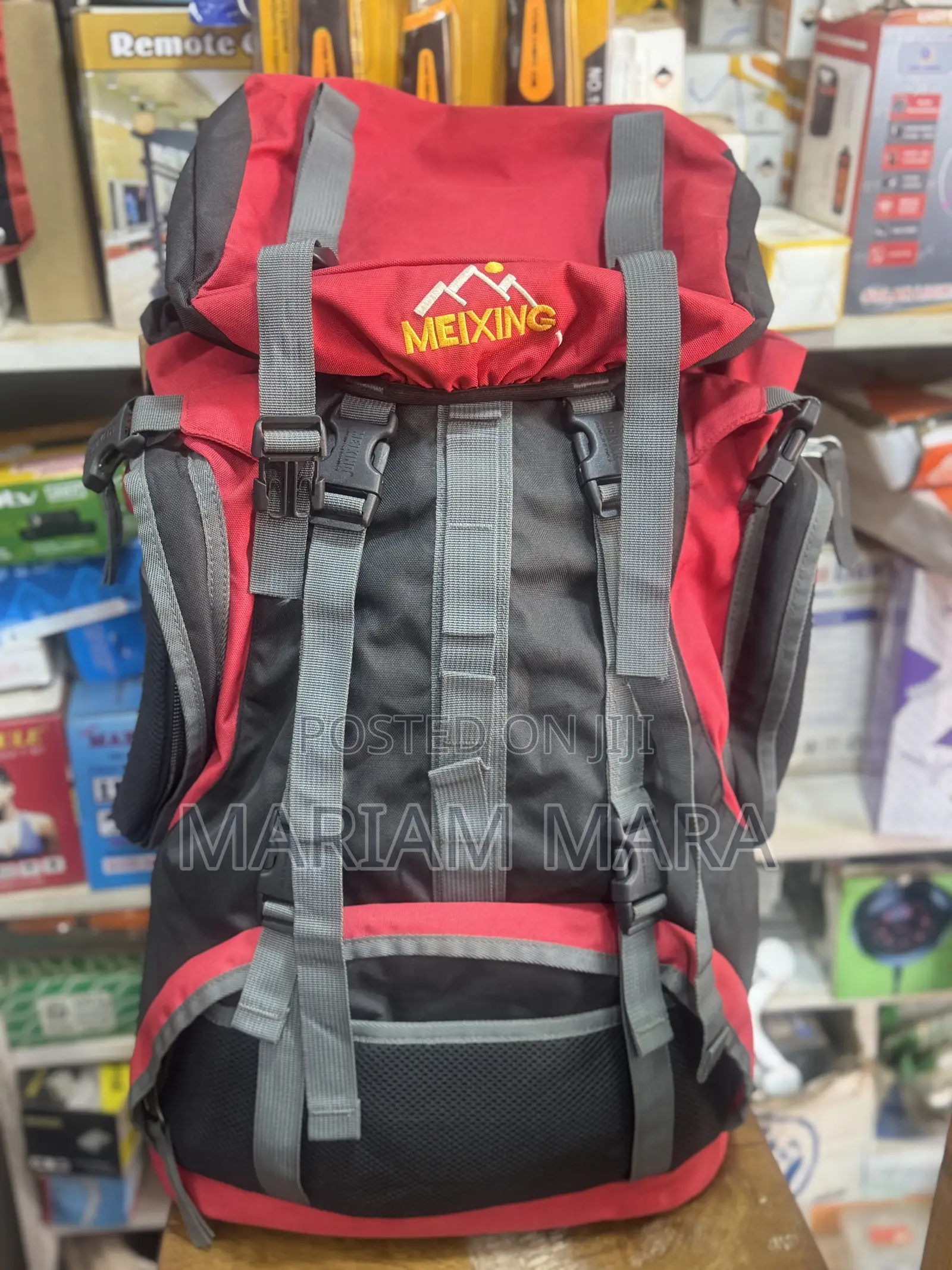 Travel Backpack