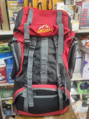 Travel Backpack