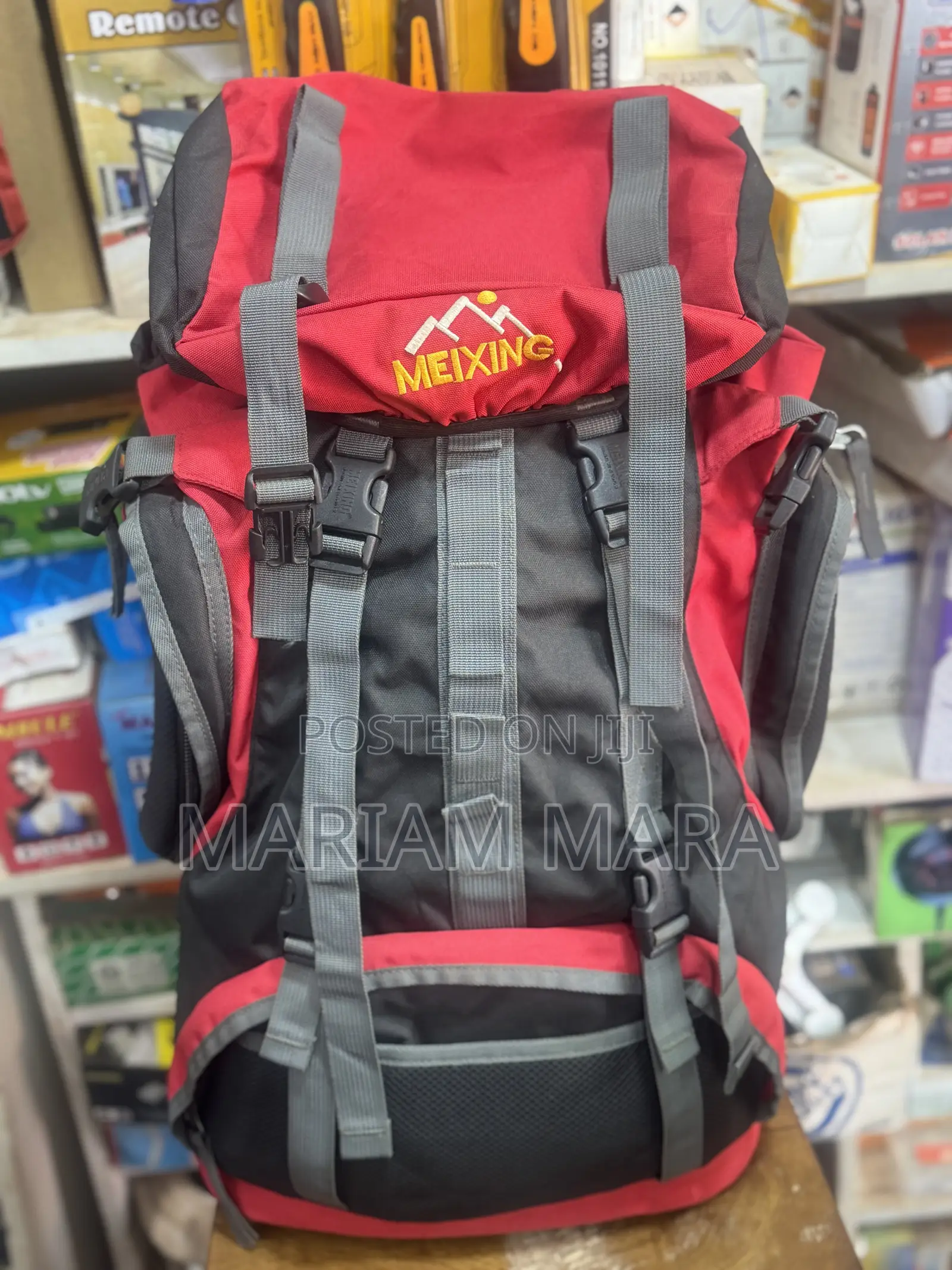 Travel Backpack