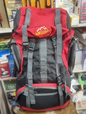 Travel Backpack