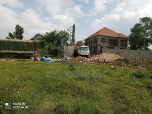 Borehole Drilling