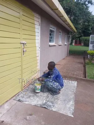 Painting and Renovation Services