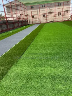 Plastic Artificial Field Football Grass Carpet