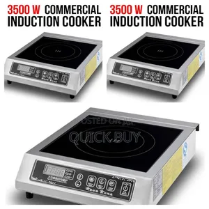 New Commercial Induction Cooker