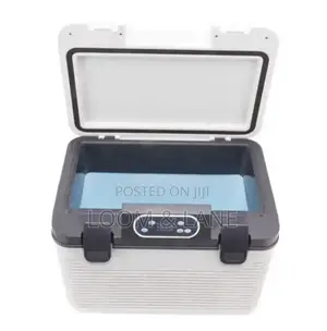 19litres Portable Car Freezer