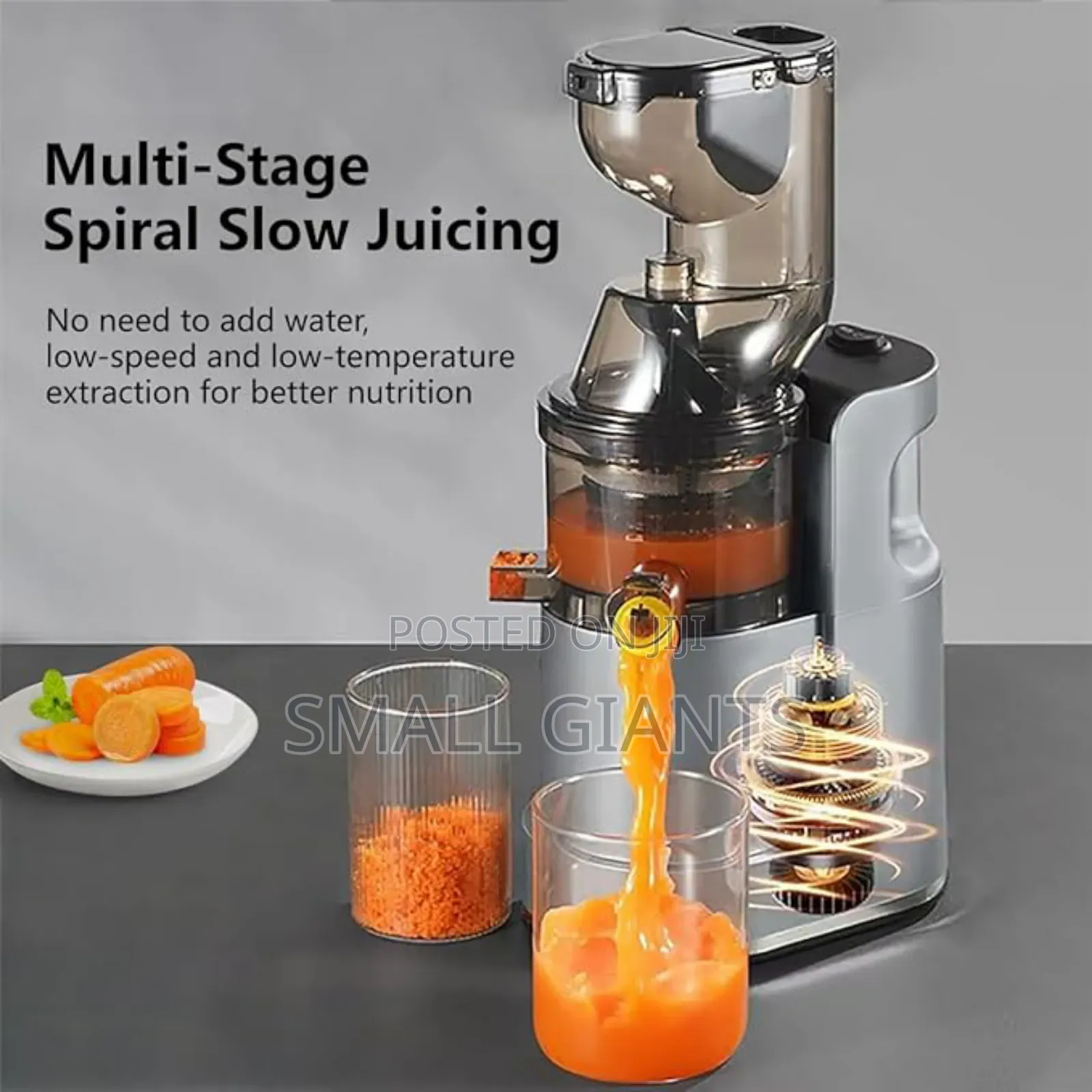 Raf Cold Press Multifunction Juicer