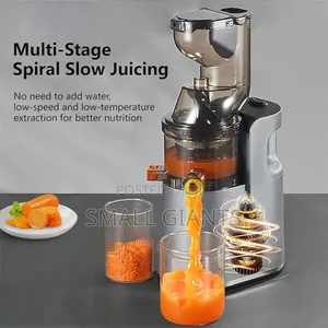 Raf Cold Press Multifunction Juicer