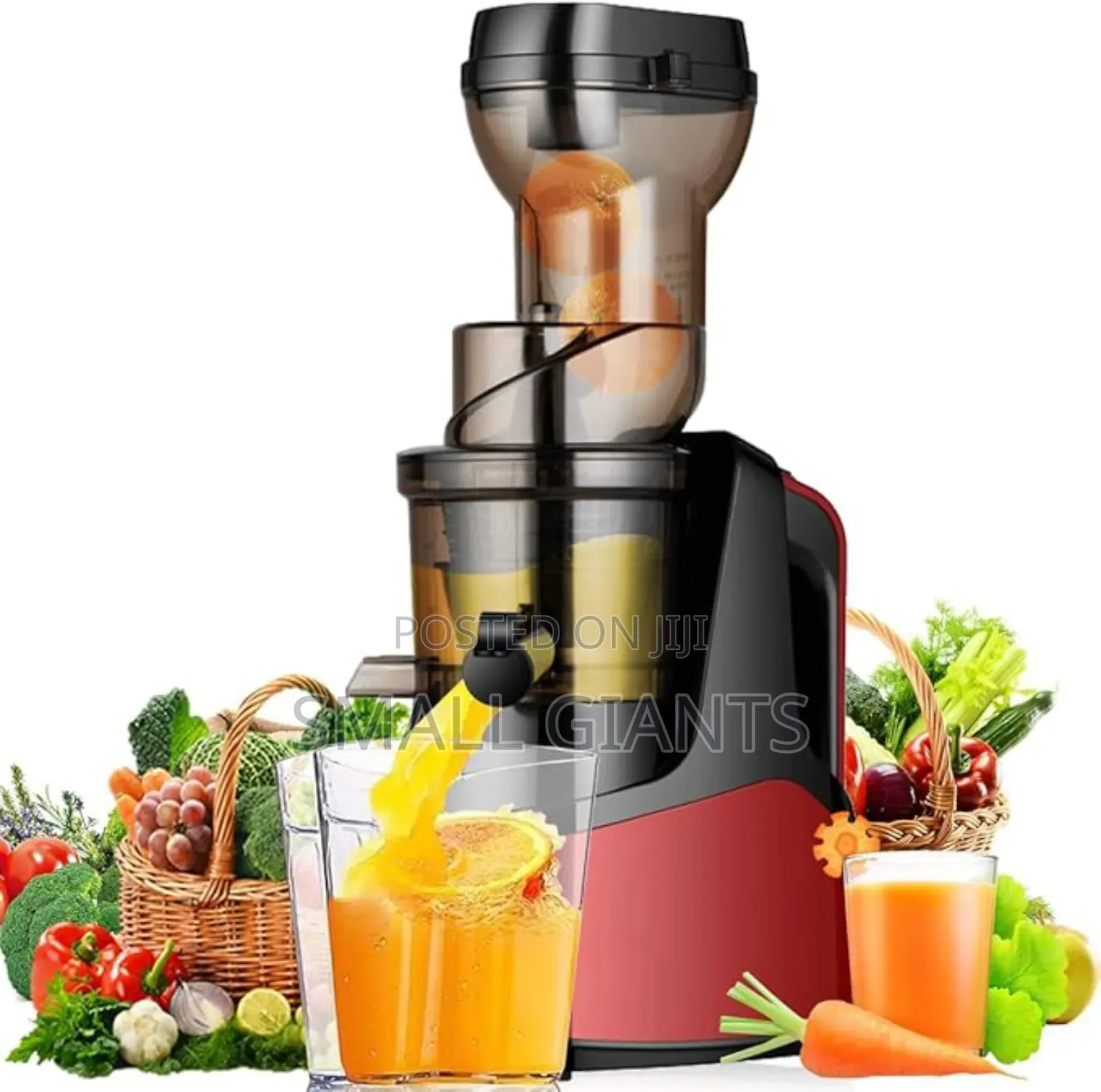 Raf Cold Press Multifunction Juicer