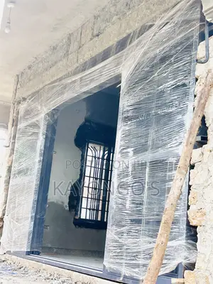 Modern Doors