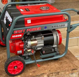 Generator Easy Power Italy