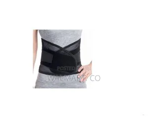 Back and Waist Support Belt