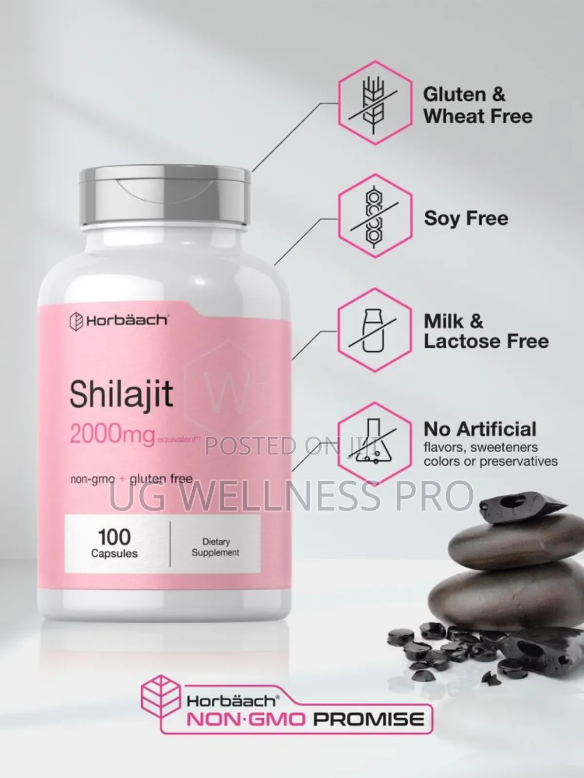 Horbaach Shilajit 2000mg 100 Capsules