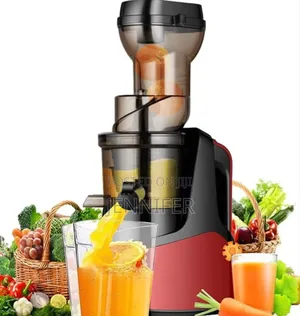 Raf Cold Press Multifunction Juicer