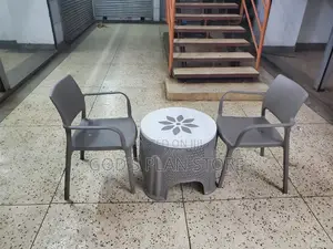 Zz2501 Plastic Table and Chairs (Gray)