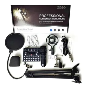 Rofessional Condenser Microphone V10