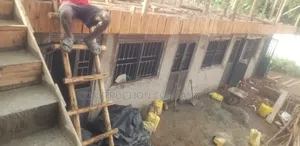 Wooden House Building
