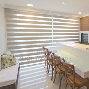 Modern Executive Zebra Roller Blinds