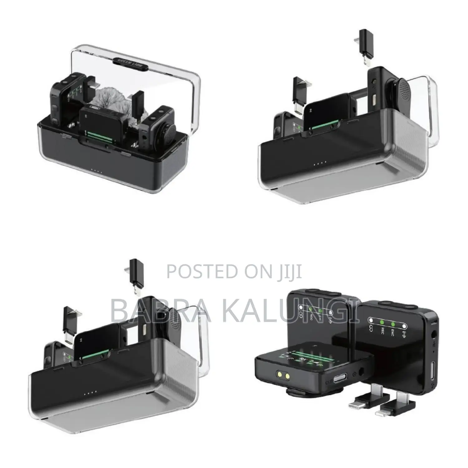 Black Green Lion Wireless Mic