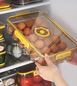 Sellivic Egg Storage Container With Lid
