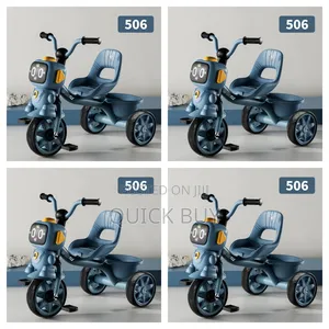 Kids Executive Tricycle Bike