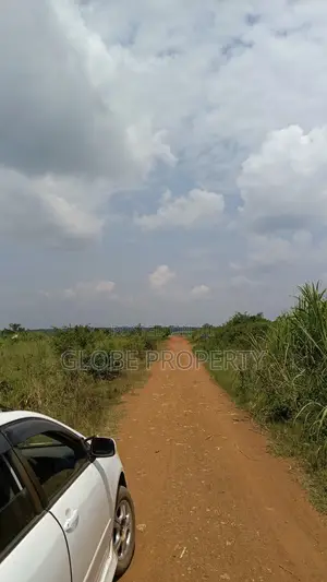 10 Acres of Farmland for Sale in Kayunga at Ugx 10m Per Acre
