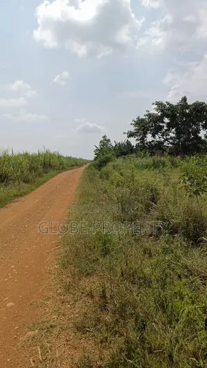 Farm Land for Sale, 5 Acres