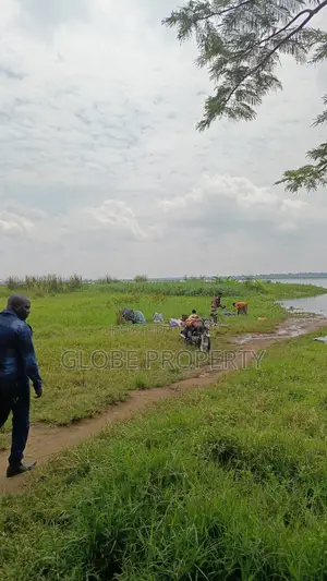 Farm Land for Sale