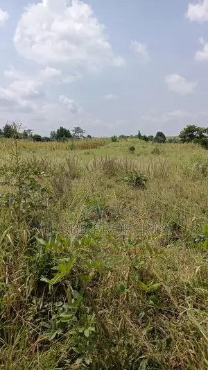 Farm Land for Sale, 10 Acres