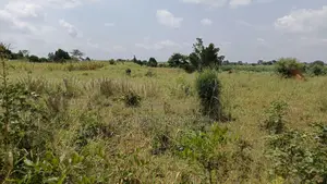 1square Mile of Farmland for Sale