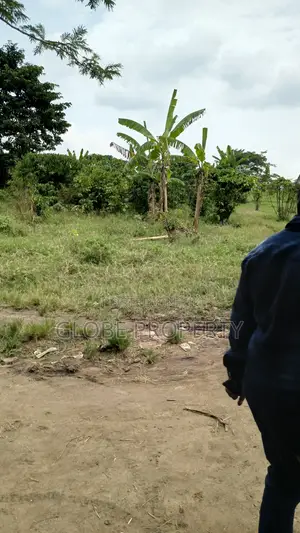 100 Acres of Farmland for Sale in Nakasongola