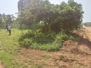 30 Acres of Fertile Farmland for Sale at Watuba
