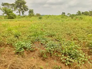 50 X 100 Plot for Sale at Kasangati Nalusugaa