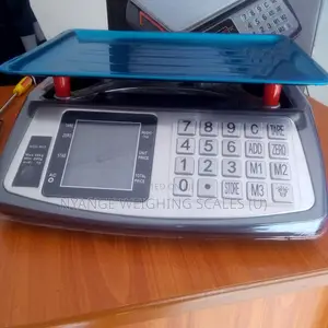 Digital Weigh Commercial Weighing Scale Food Digital Weighing Scale