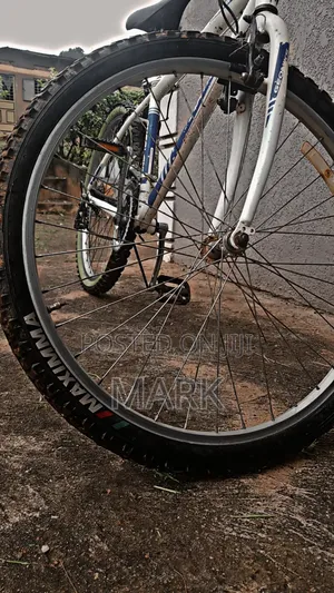 Adult Bicycle on Sale