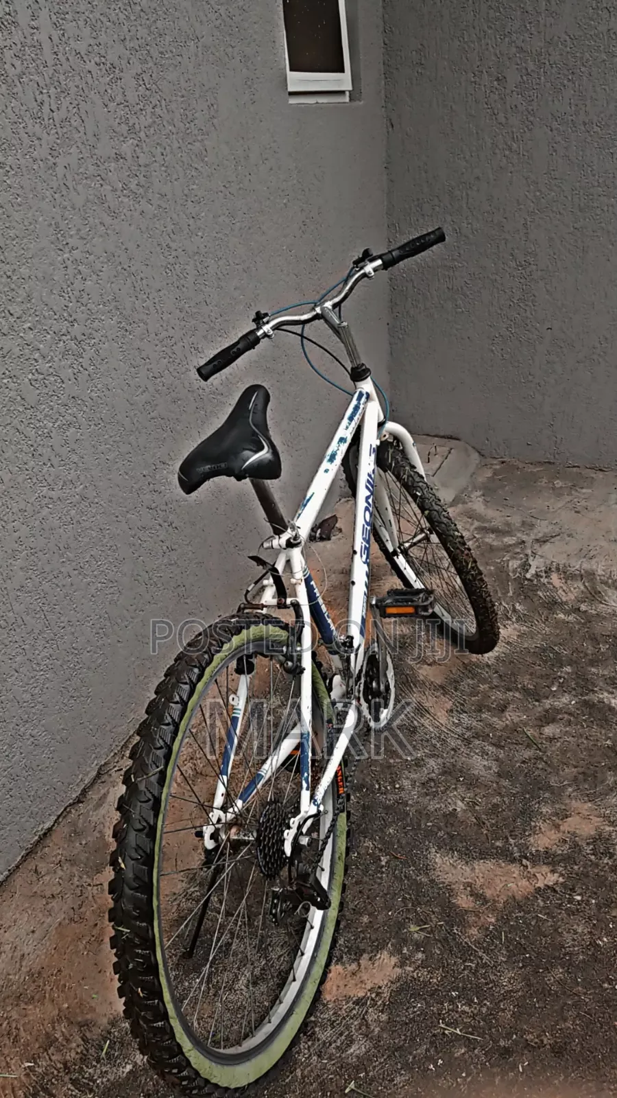 Adult Bicycle on Sale
