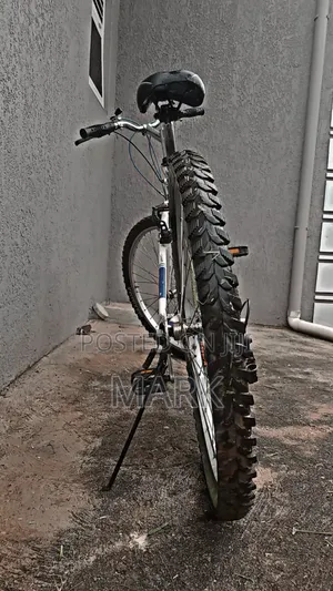 Adult Bicycle on Sale