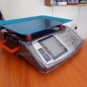Diet Food Weighing Scale Vegetable Weigh Digital Weighing Scale