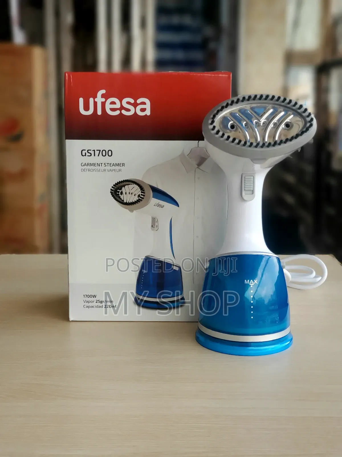Hand Steamer