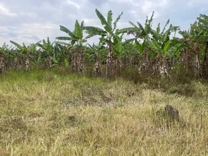 Plot for Sale