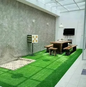 Good Looking Artificial Grass Carpet