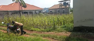 50x100 Plot for Sale in Sonde Namwezi Jumayi Estate.