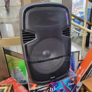 Saachi Rechargeable Speakers 2 Microphones