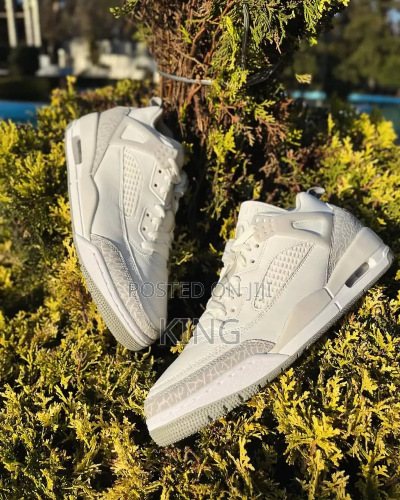 Factual Jordan Spizike Low Summit White