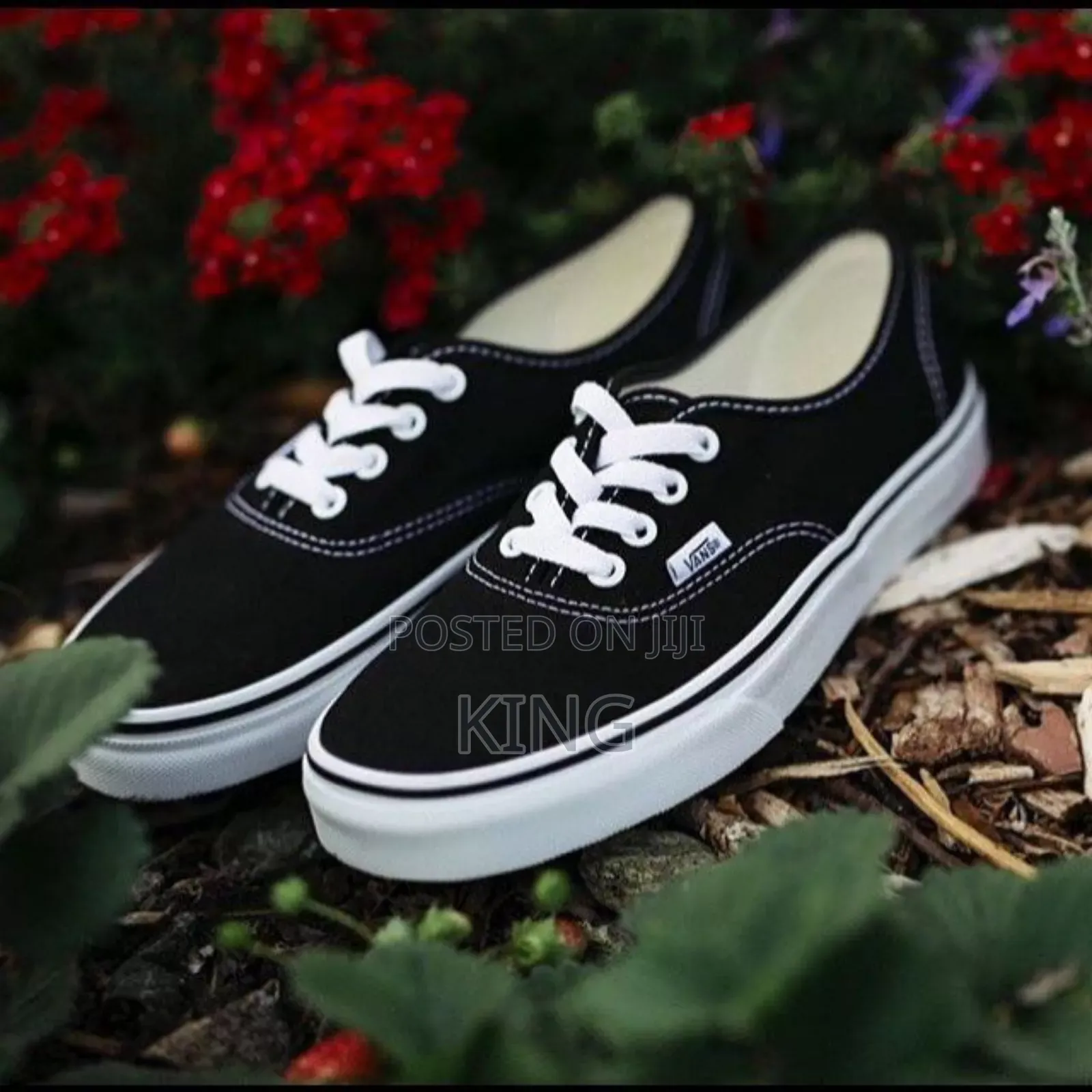 Loftus Vans Shoes