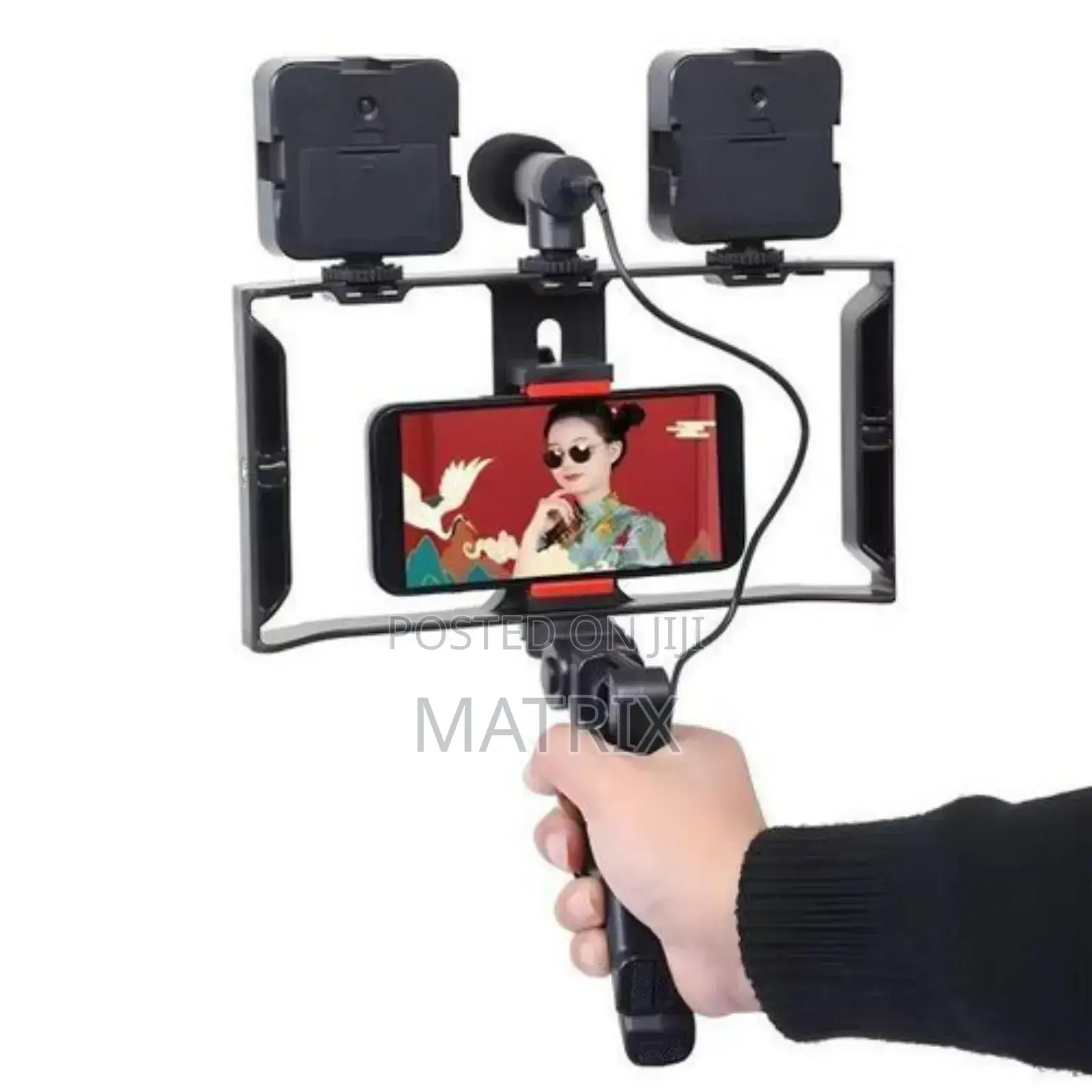 Professional Video Maker With Microphone, 2 Portable 7w Led