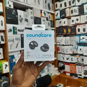 Soundcore C40i Earphones