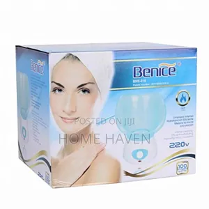 Facial Steamer