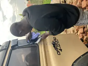 Car Body Stickers